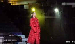 华晨宇综艺爆料视频全集,揭秘明星幕后故事与真实情感