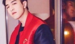 明星爆料金瀚视频全集,揭秘明星幕后生活点滴